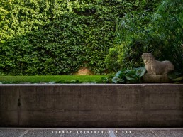 Fondazione Querini Stampalia, Carlo Scarpa, Italian Garden