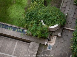 Fondazione Querini Stampalia, Carlo Scarpa, Italian Garden