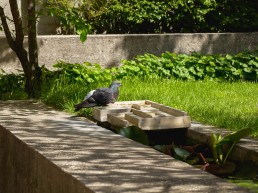 Fondazione Querini Stampalia, Carlo Scarpa, Italian Garden