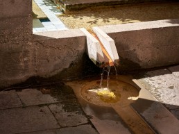 Fondazione Querini Stampalia, Carlo Scarpa, Italian Garden