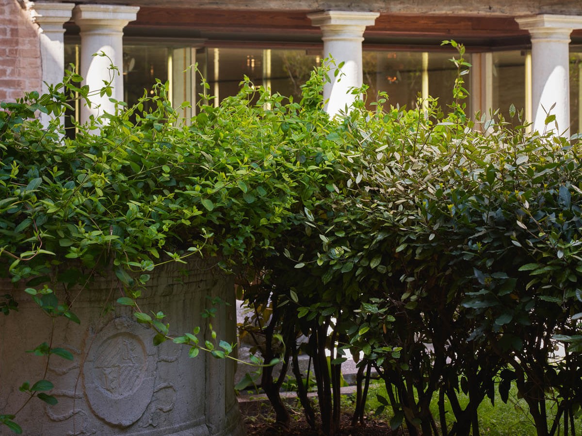 Fondazione Querini Stampalia, Carlo Scarpa, Italian Garden